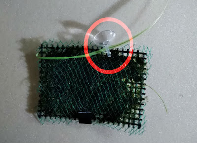 モスマットに吸盤を固定する手順その1