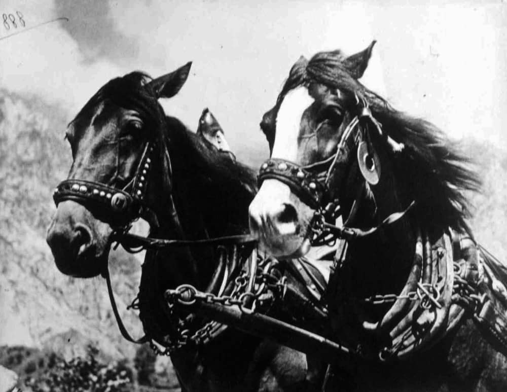 OUTSIDERS IL MUSEO IMMAGINARIO ELIO LUXARDO. DAL GLAMOUR AL CORPO