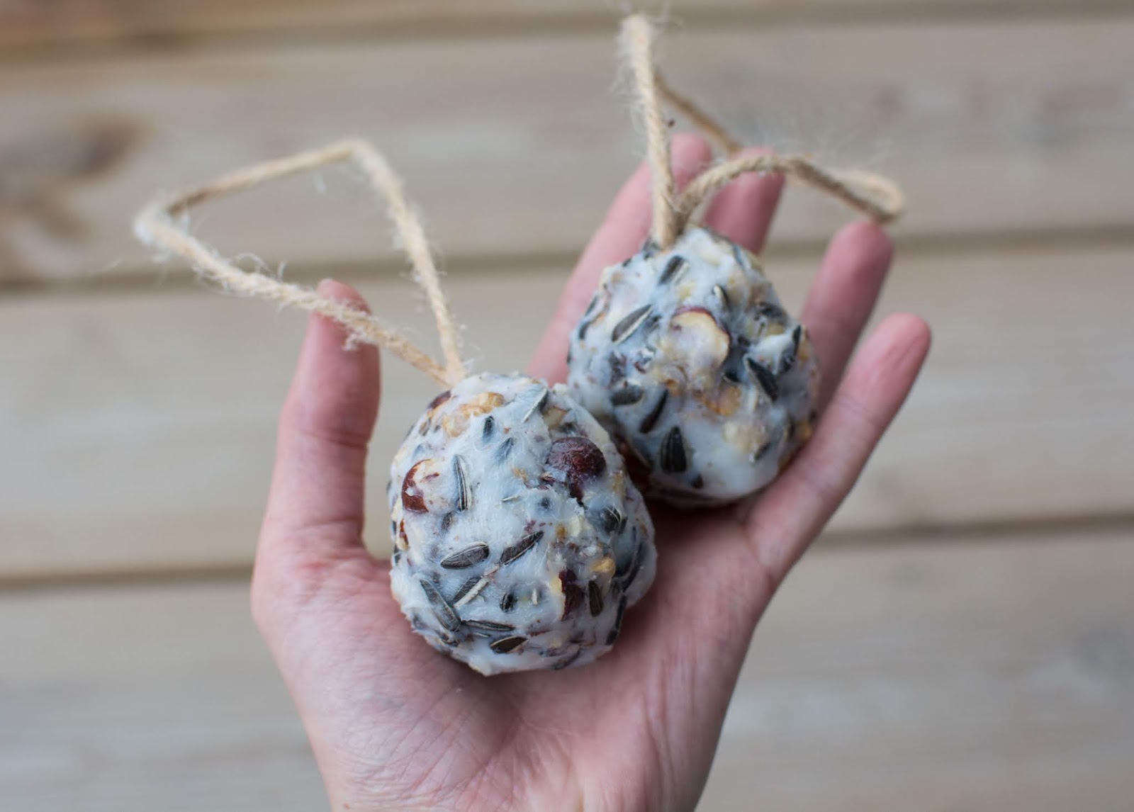 DIY : Boules de graisse pour oiseaux fait maison - Blog