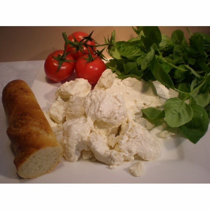 The Cheesy Times What Kind Of Milk Is Used For Mozzarella?