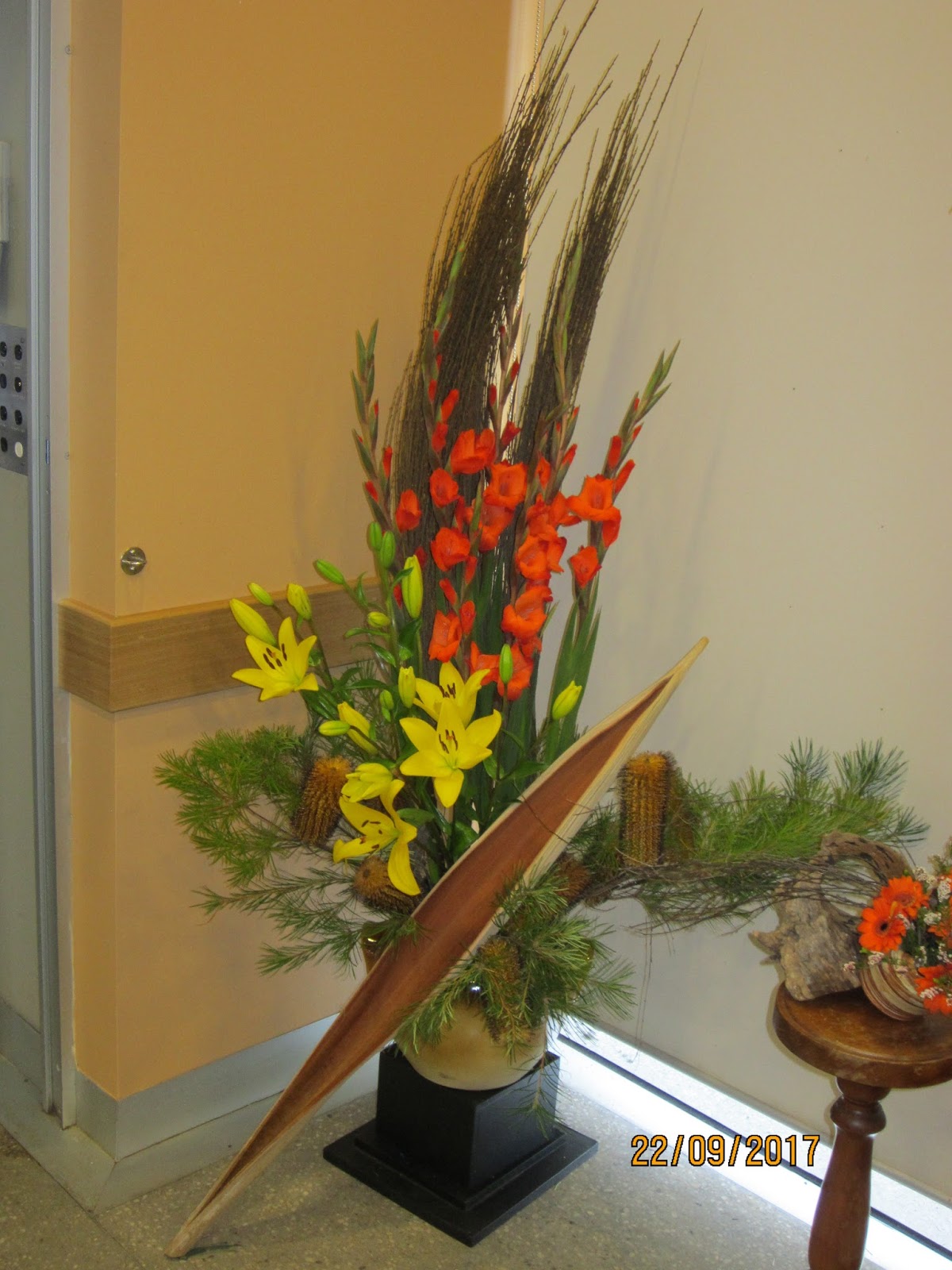 The Niche Nursery Ballarat & Melbourne