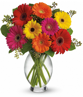 Mixed Gerbera Daisies
