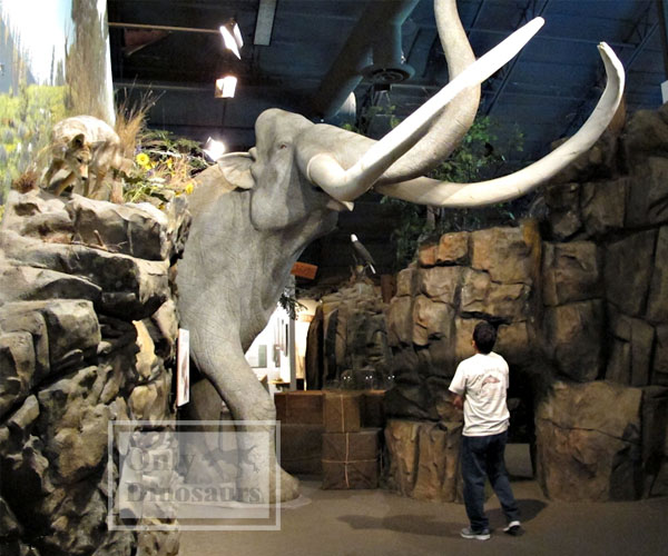 Real Size Animatronic Animal Maker Real Size Animatronic Animal Maker