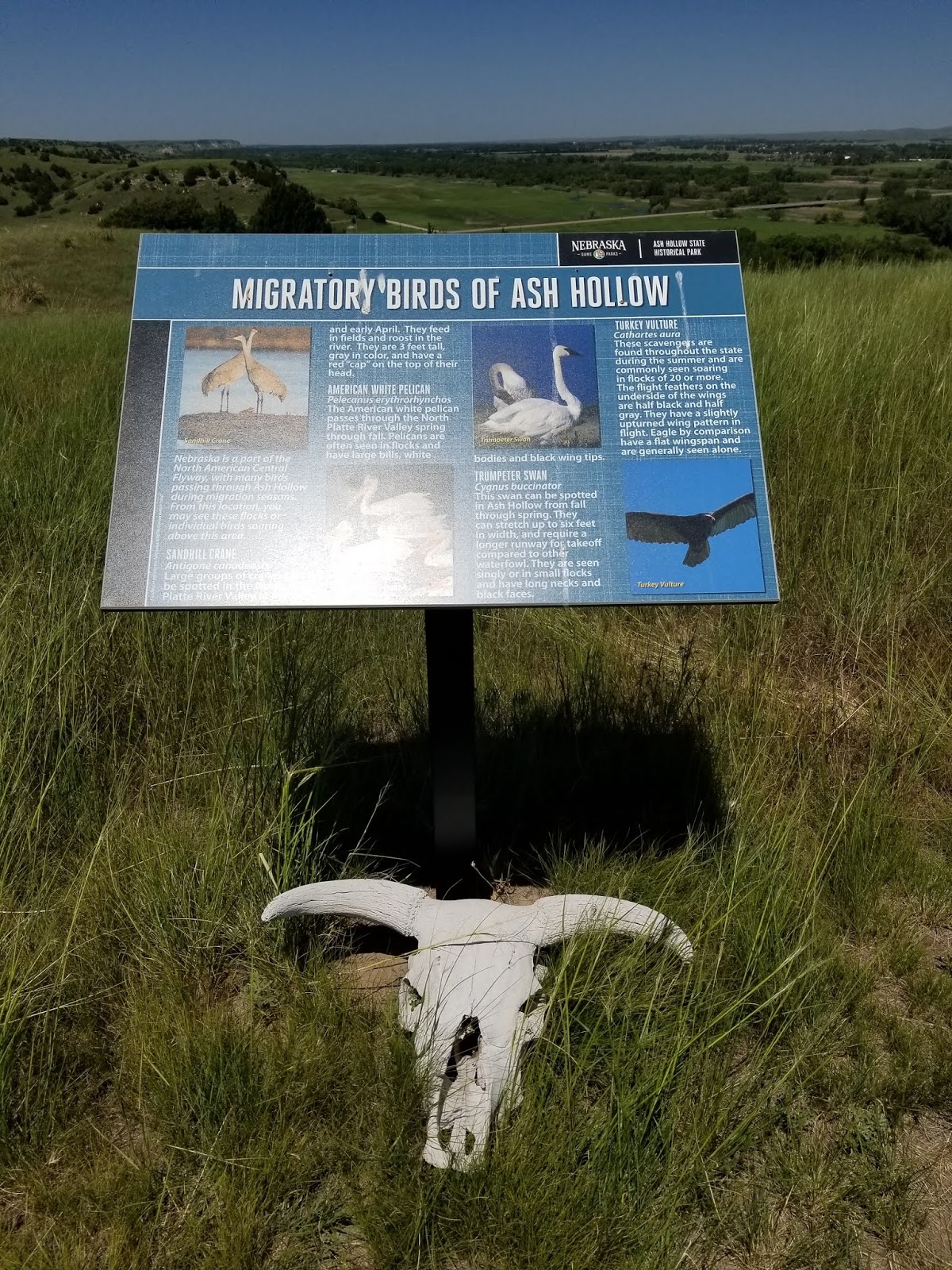 Wilderness Wanderings Oregon Trail Windlass Hill Ash Hollow