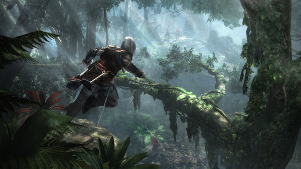 Assassins Creed IV Black Flag Full Setup Assassins Creed IV Black Flag Full Setup