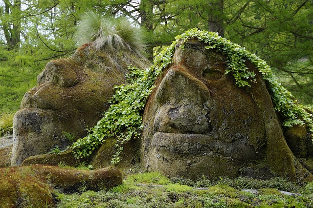 Wie Bekomme Ich Den Maulwurf Aus Meinen Garten Wie Bekomme Ich Den Maulwurf Aus Meinen Garten