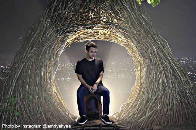 Pinus Pengger Pinus Pengger