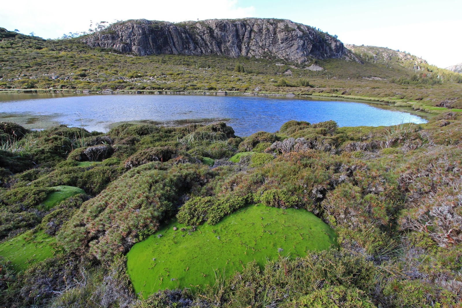 awildland Walls of Jerusalem National Park, Tasmania awildland Walls of Jerusalem National Park, Tasmania