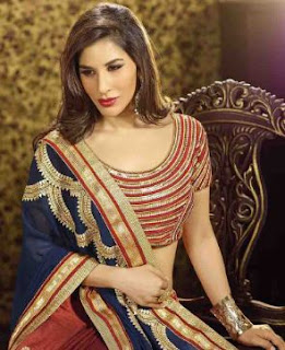Sophie Choudry Family Husband Son Daughter Father Mother Marriage Photos Biography Profile.