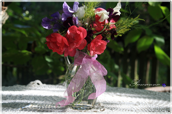 róże w ogrodzie, róże pachnące, Rapsody in Blue roses, róże angielskie, Mary Ann roses, roses, Symphatie roses, English roses