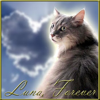 Luna Forever