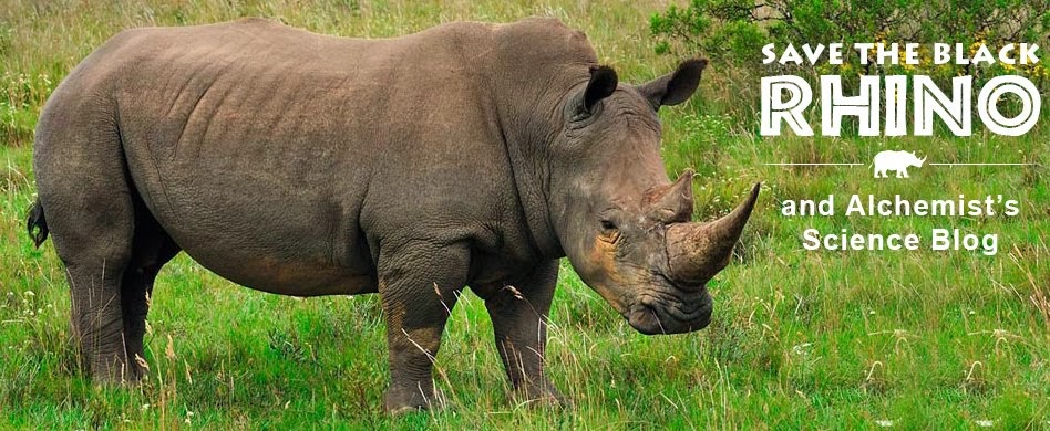 Saving The Black Rhino Project