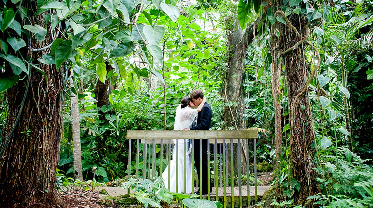 10 Inspirational Botanic Gardens | Fairchild Tropical Botanic Gardens, Miami, Florida, USA 10 Inspirational Botanic Gardens | Fairchild Tropical Botanic Gardens, Miami, Florida, USA