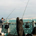 صيد السمك في مصر واماكن الصيد المختلفة 