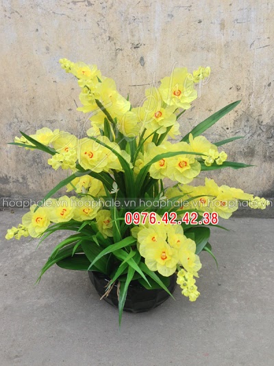 Hoa pha lê nghệ thuật ở Sơn Tây Hoa pha le nghe thuat o Son Tay