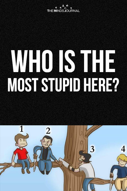 Who is the Most Stupid Here