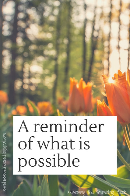 Reminder of what is possible; Removing the Stumbling Block Reminder of what is possible; Removing the Stumbling Block
