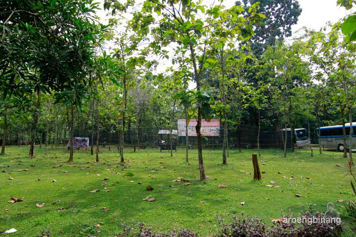 kampoeng maen buperta cibubur