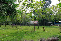kampoeng maen buperta