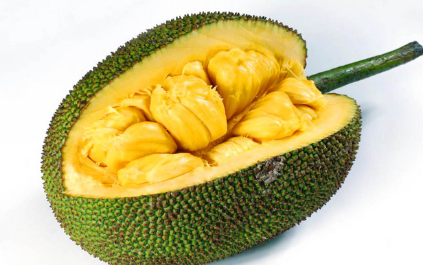 Gambar Mewarnai Buah Nangka
