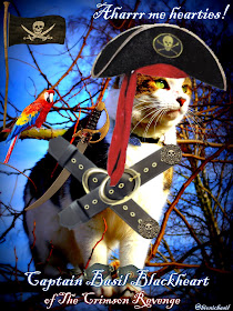 Captain Basil Blackheart and The Crew of The Crimson Revenge Sail Again ©BionicBasil®