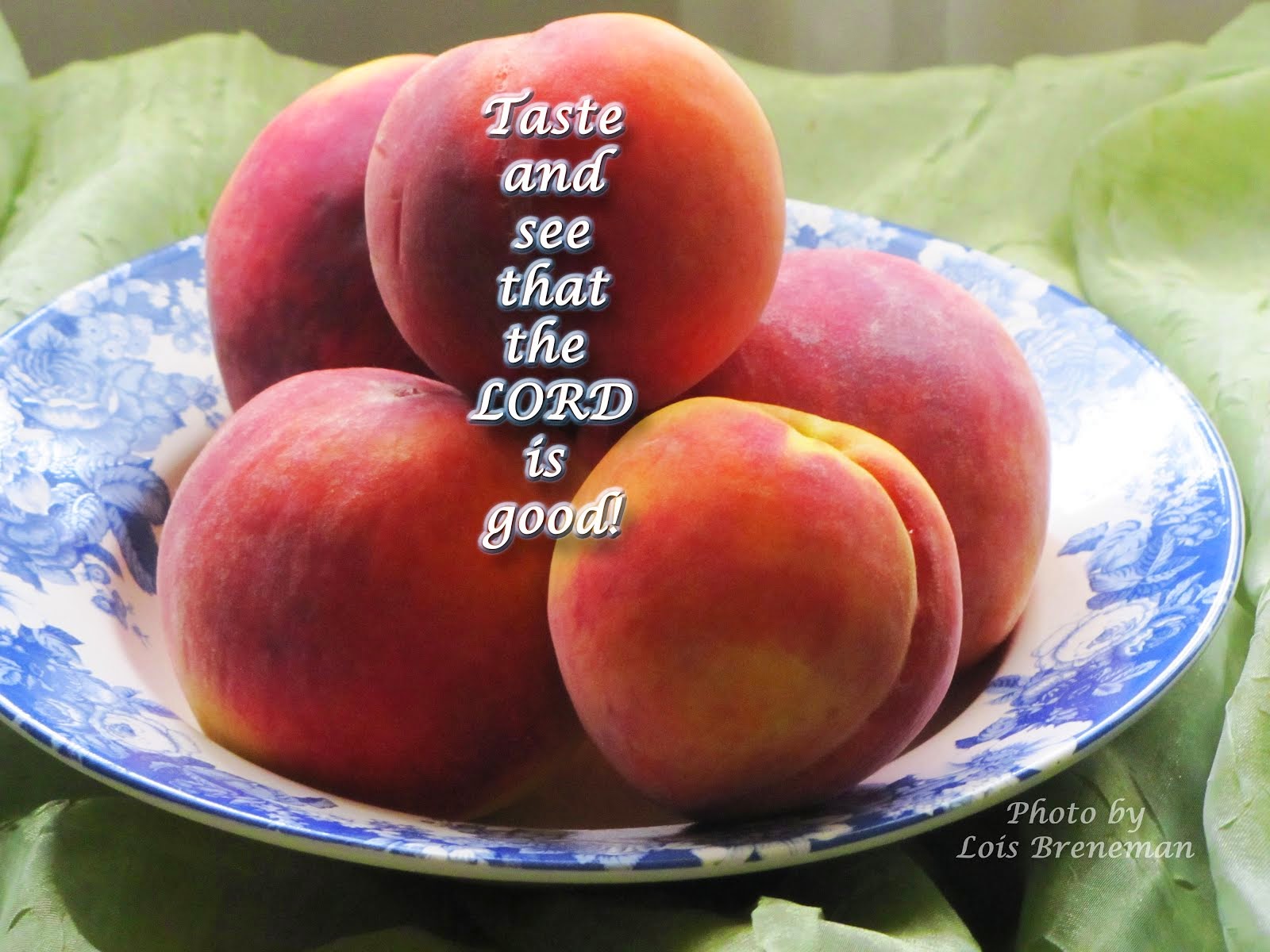 Peaches: Taste and See