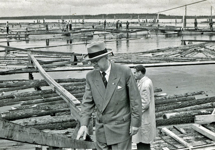 Presidentti Urho Kekkonen Hellälässä 1955