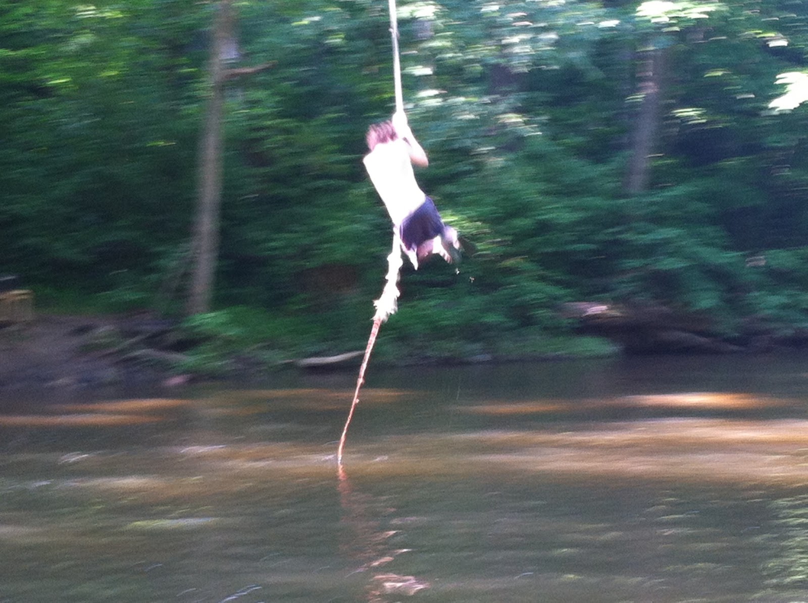 The West Vincent Rope Swing is Great Fun The Watering Hole