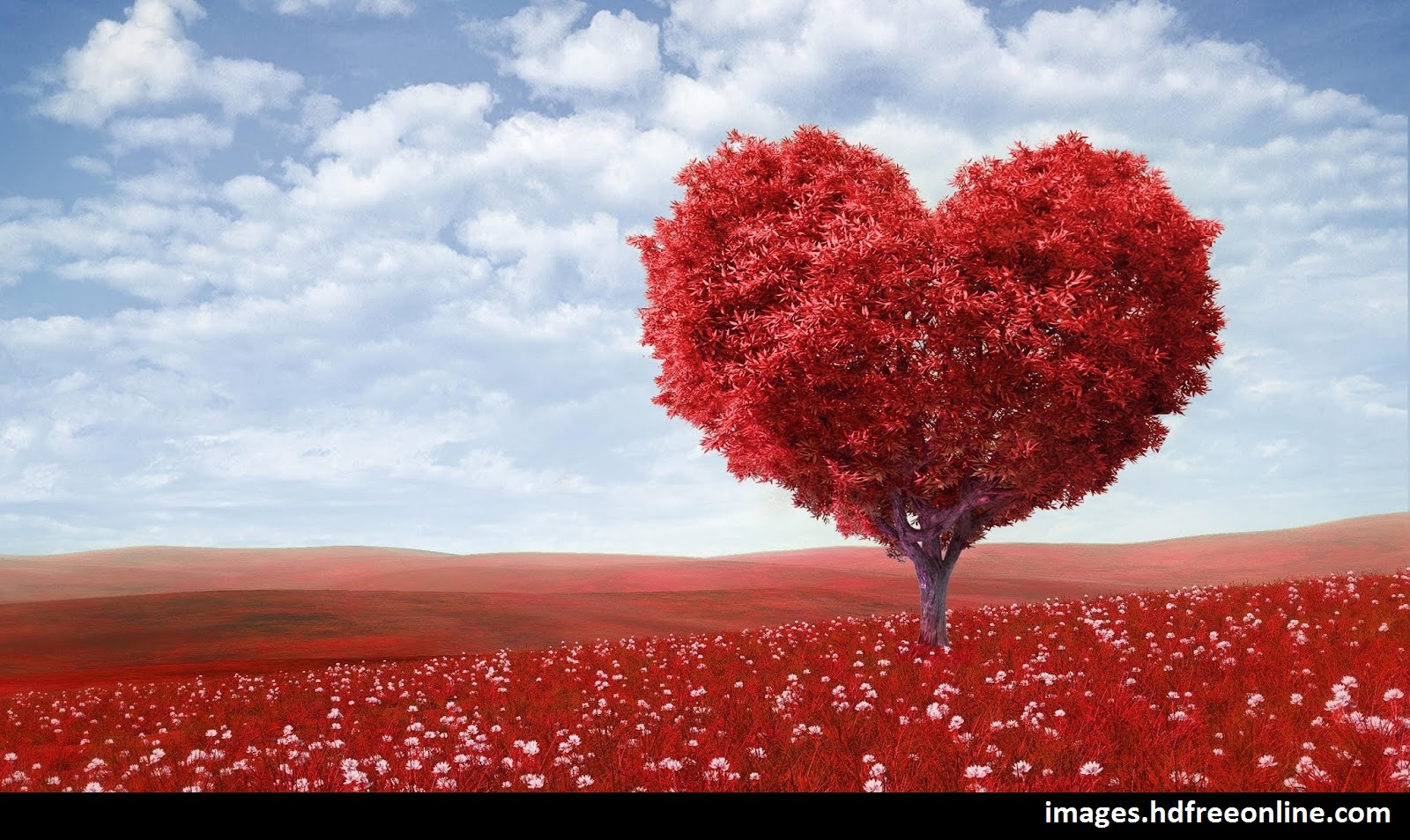 Download Cute Love Wallpapers For Mobile Phones HD HD Wallpapers Act