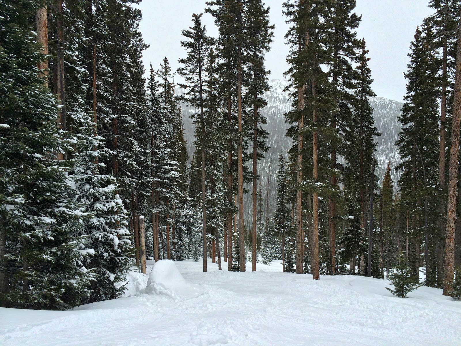 Colorado Adventures Hidden Valley Backcountry Skiing in Estes Park