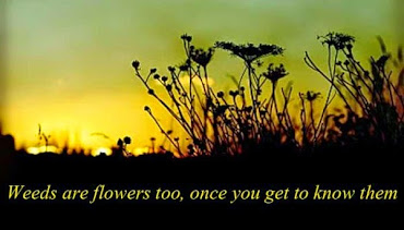 #2 Wonderful Flowers Quotes Wallpapers