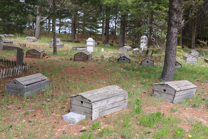 Michigan Exposures An Old Native American Burial Ground