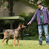 "Max" Lead Actor Josh Wiggins a Dog-Lover in Real Life 