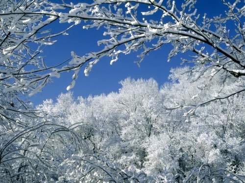 Perleputz: Free Winter Screensavers