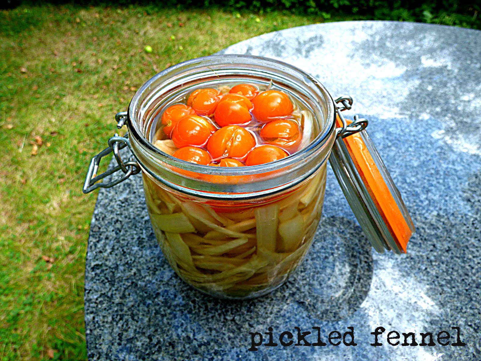 Chez Maximka Pickled fennel