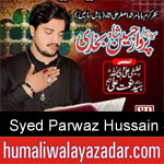 https://www.humaliwalyazadar.com/2018/09/syed-parwaz-hussain-shah-nohay-2019.html