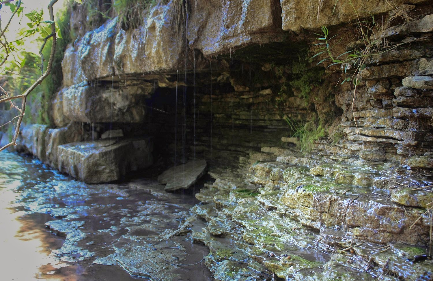Mishy's Corner of the World Forks of the Credit Provincial Park