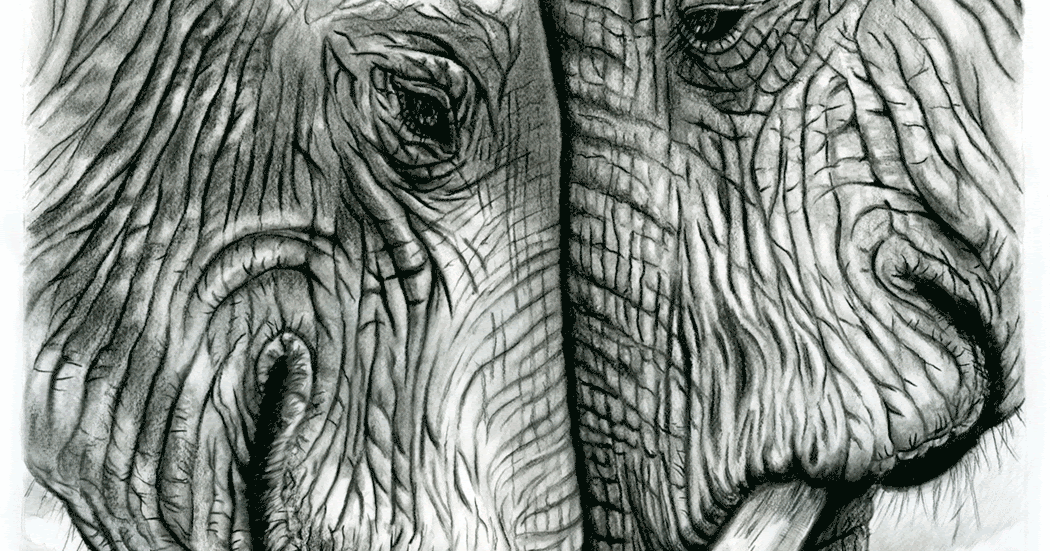 Image Maker New Intermediate Drawing Class Spring 2017, Exeter NH