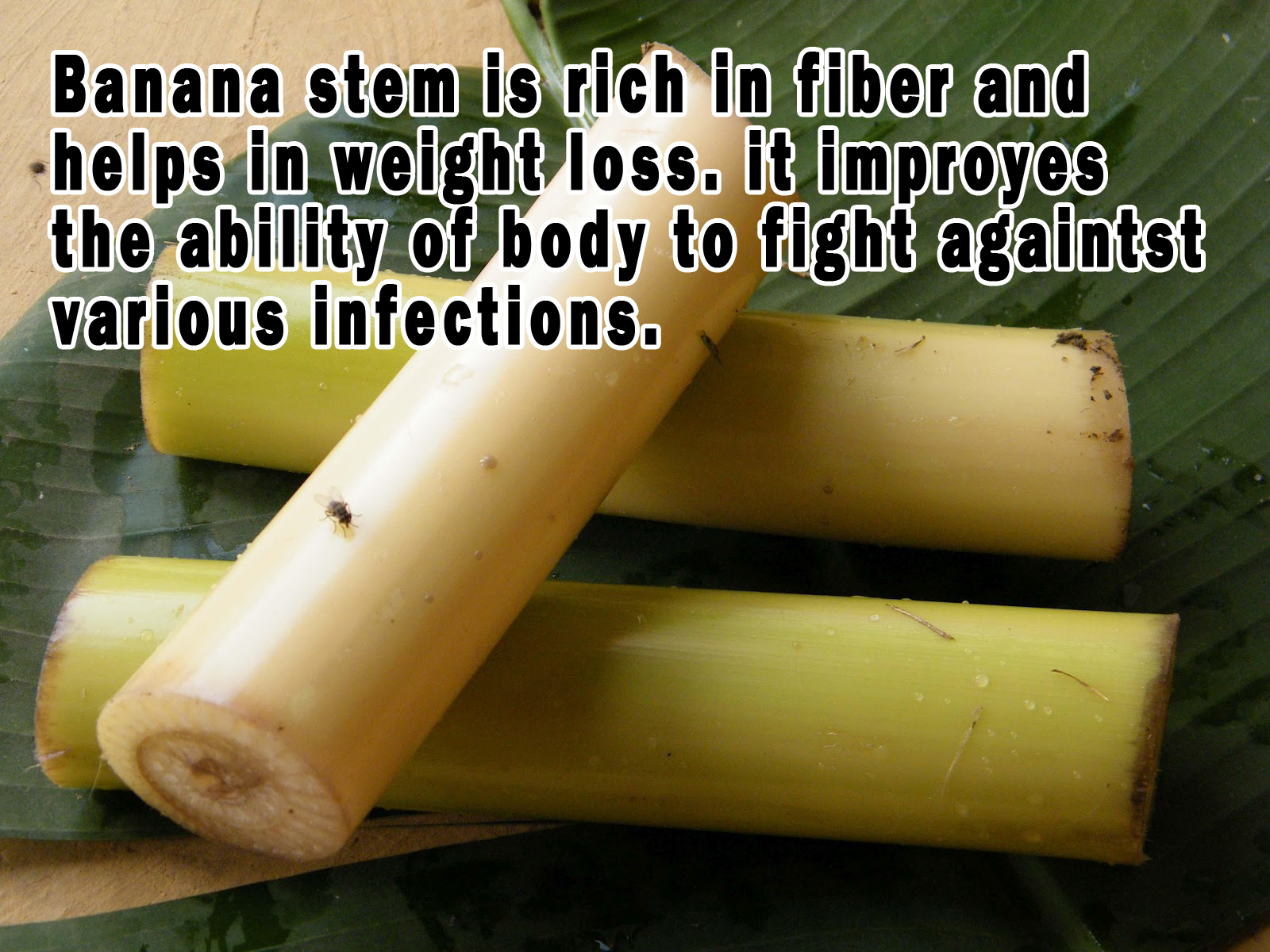 Useful Information Weight Loss for Banana stem