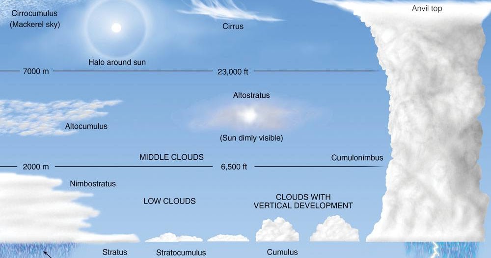 Схема облаков. Виды облаков в октябре. Струйное течение облака. Виды облаков 1 декабря. Виды облаков угроз.