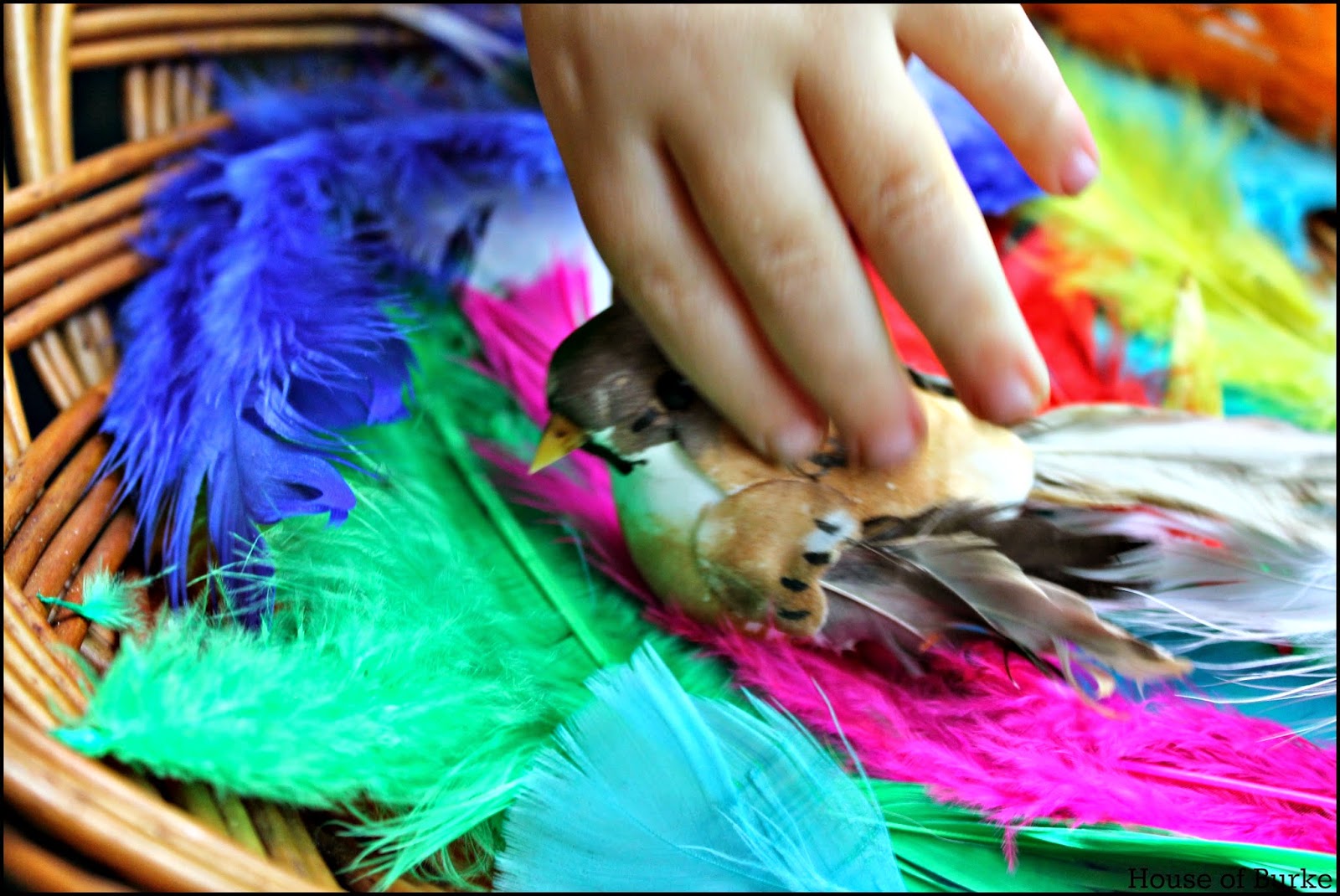 House of Burke Fine Motor Feather Play