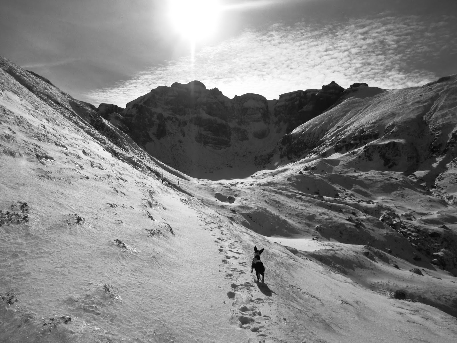 Pe drumul cel bun Drumetie cu Sorelul si cu dulaii prin Bucegi