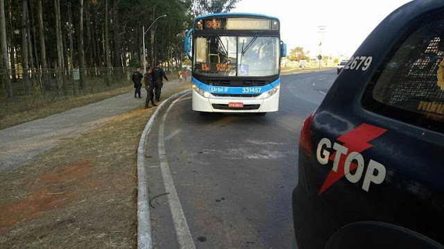 Resultado de imagem para segurança em samambaia
