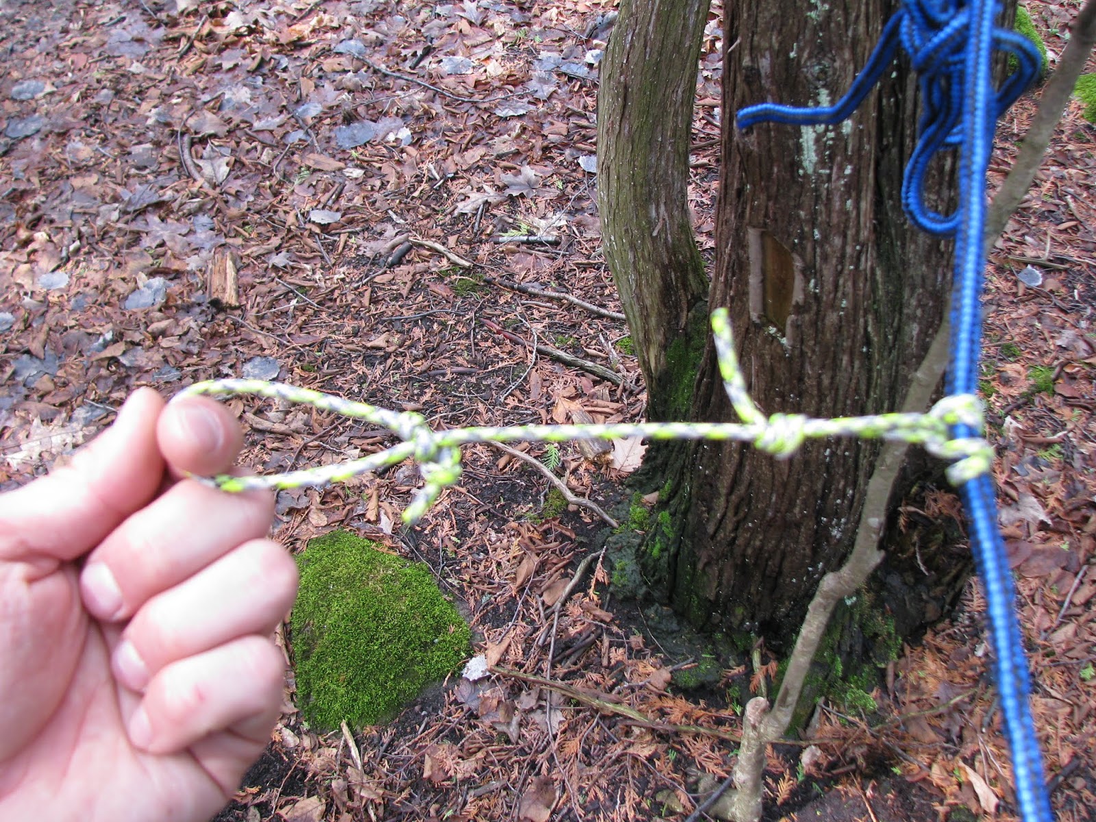 Part Time Tramp How to use wool blankets with a hammock.