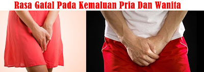 Obat Gatal Di Area Kemaluan Obat Gatal Di Area Kemaluan