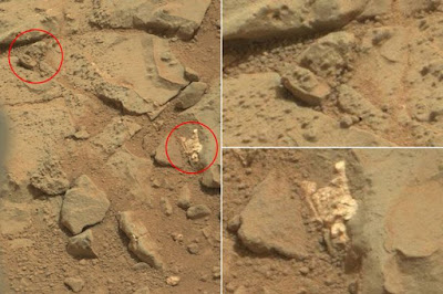 Saiba o Verdadeiro Desejo da Nasa Saiba o Verdadeiro Desejo da Nasa