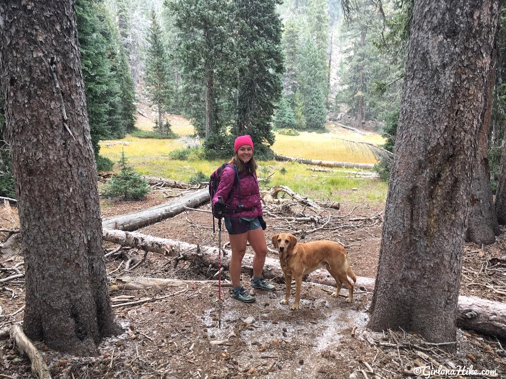 Hiking to Signal Peak, Pine Valley Mountains Girl on a Hike