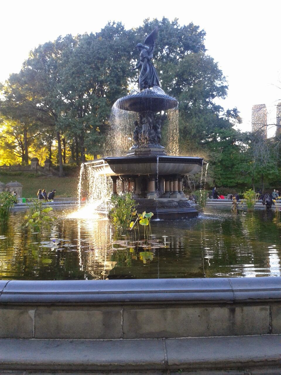 imagen de Fuente en Central Park