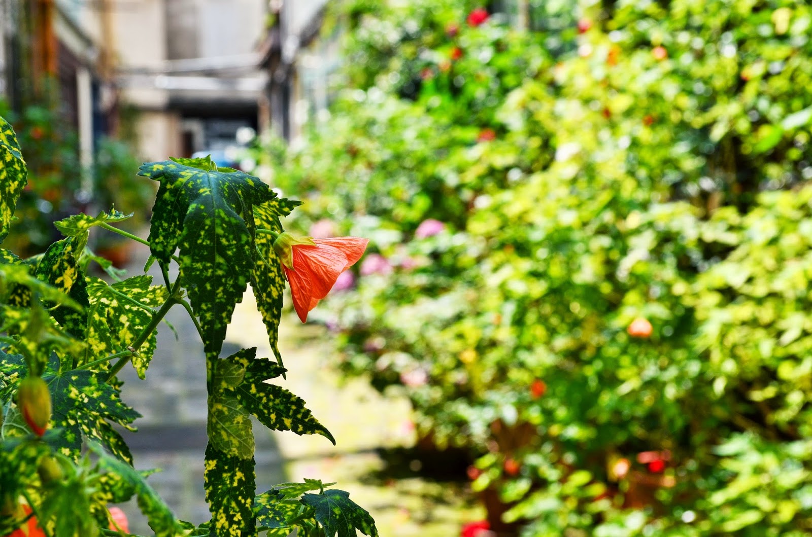 Une pépite rue du Faubourg Saint Antoine - Parisian touch
