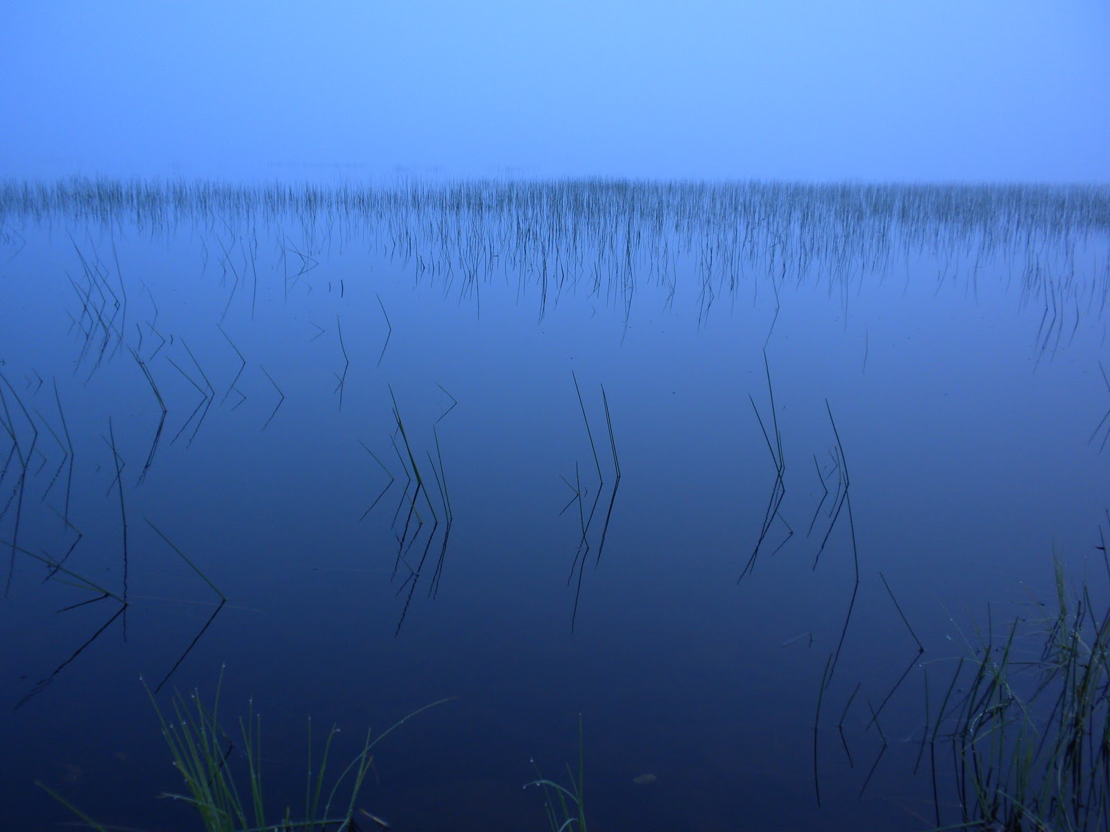 kdaanennfct Day 48, Aug. 20 The Infamous Mud Pond Carry